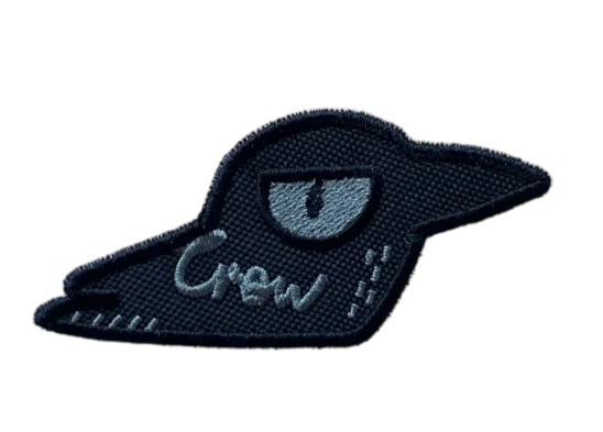Combat Recruit of War Badge